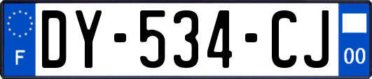 DY-534-CJ