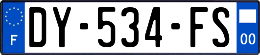DY-534-FS