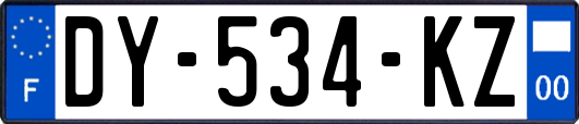 DY-534-KZ