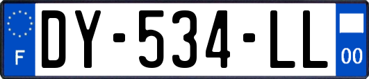 DY-534-LL