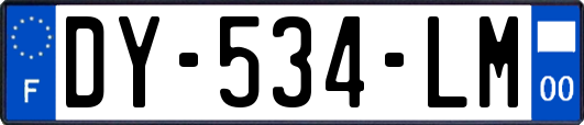 DY-534-LM