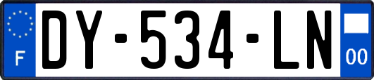 DY-534-LN