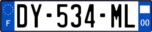 DY-534-ML