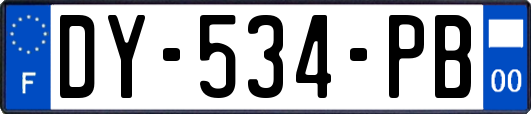 DY-534-PB