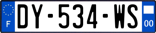 DY-534-WS