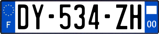 DY-534-ZH