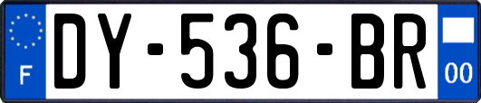 DY-536-BR