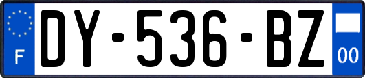 DY-536-BZ