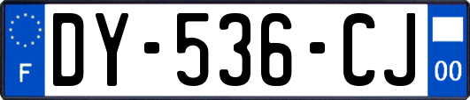 DY-536-CJ