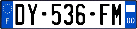 DY-536-FM