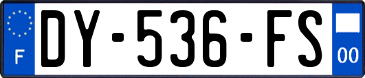 DY-536-FS