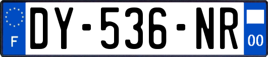 DY-536-NR