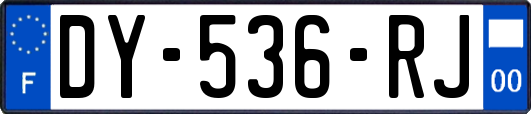 DY-536-RJ