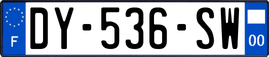 DY-536-SW