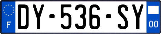 DY-536-SY