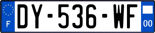 DY-536-WF