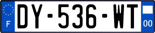 DY-536-WT