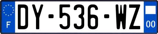 DY-536-WZ