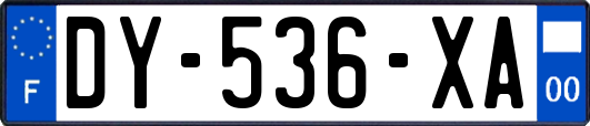 DY-536-XA