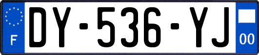 DY-536-YJ