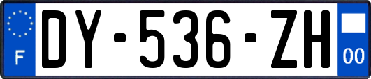 DY-536-ZH