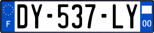 DY-537-LY