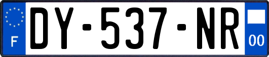 DY-537-NR