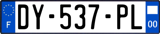 DY-537-PL