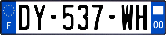 DY-537-WH