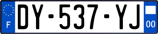 DY-537-YJ