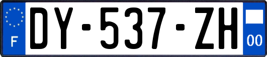 DY-537-ZH