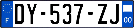 DY-537-ZJ