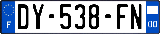 DY-538-FN