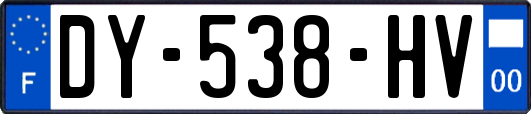 DY-538-HV