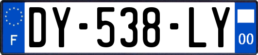 DY-538-LY