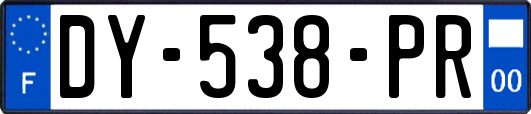 DY-538-PR