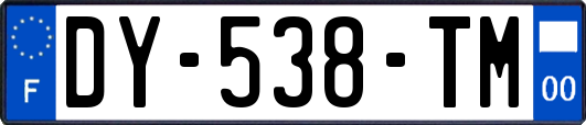 DY-538-TM