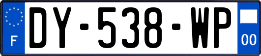 DY-538-WP