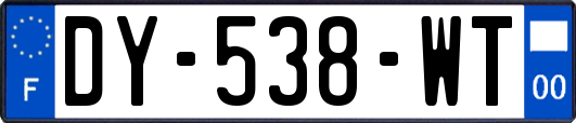 DY-538-WT