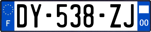 DY-538-ZJ