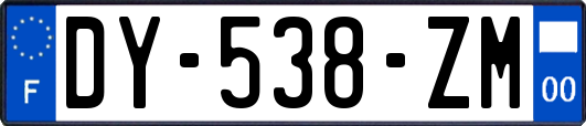 DY-538-ZM