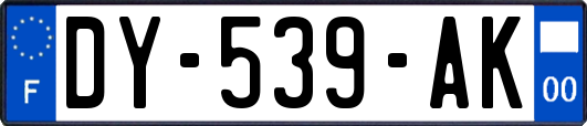 DY-539-AK