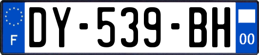 DY-539-BH