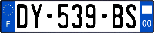 DY-539-BS