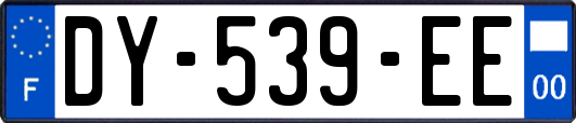 DY-539-EE