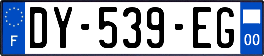 DY-539-EG