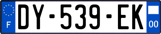 DY-539-EK