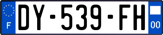 DY-539-FH