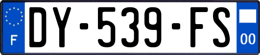 DY-539-FS