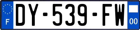 DY-539-FW